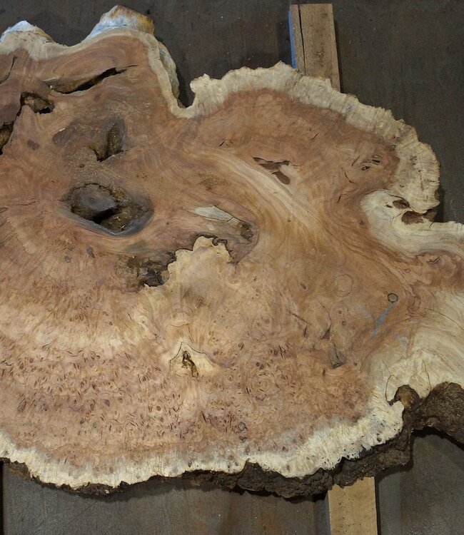 Amboina burl, approx. 1400 x 810 x 40-55mm, 28,2kg
