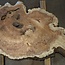 Amboina burl, approx. 1400 x 810 x 40-55mm, 28,2kg