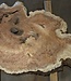 Amboina burl, approx. 1400 x 810 x 40-55mm, 28,2kg