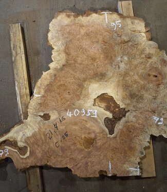 Amboina Maser, ca. 950 x 790/790 x 52 mm, 19kg, 40959