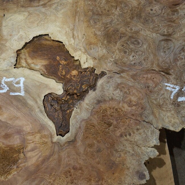 Amboina Maser, ca. 950 x 790/790 x 52 mm, 19kg