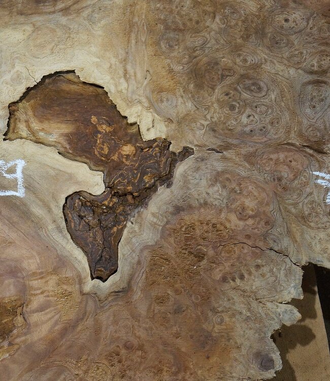 Amboina burl, approx. 950 x 790/790 x 52mm, 19kg