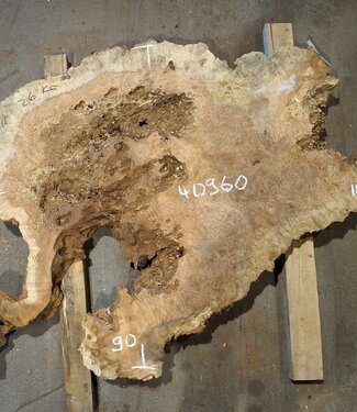 Amboina Maser, ca. 1120 x 900 x 50 mm, 26kg, 40960