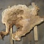 Amboina burl, approx. 1120 x 900 x 50mm, 26kg
