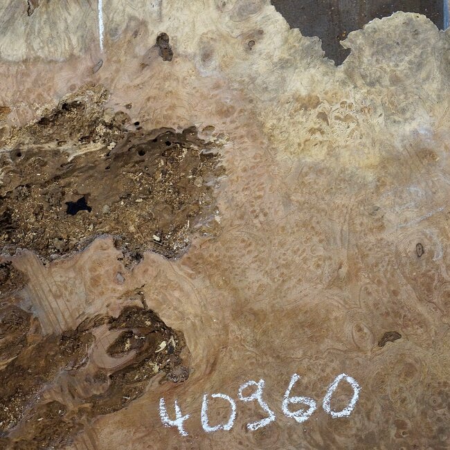 Amboina burl, approx. 1120 x 900 x 50mm, 26kg