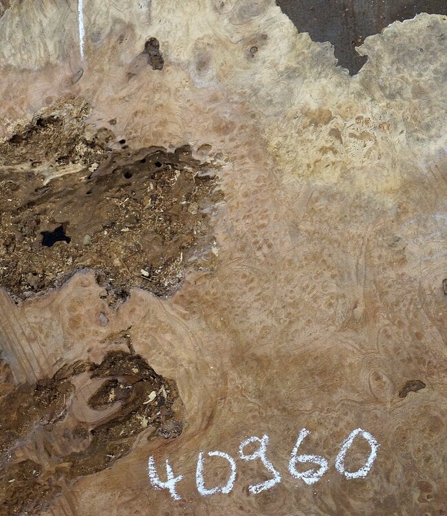 Amboina burl, approx. 1120 x 900 x 50mm, 26kg