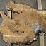 Amboina burl, approx. 1120 x 900 x 50mm, 26kg