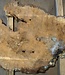 Amboina burl, approx. 1120 x 900 x 50mm, 26kg