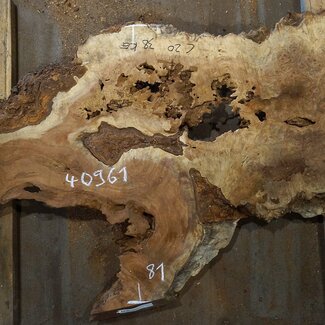 Amboina burl, approx. 1600 x 810 x 65-80mm, 35,2kg, 40961