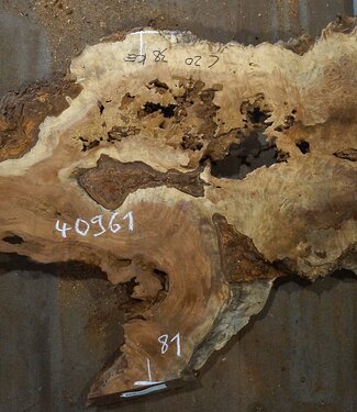 Amboina Maser, ca. 1600 x 810 x 65-80 mm, 35,2kg, 40961