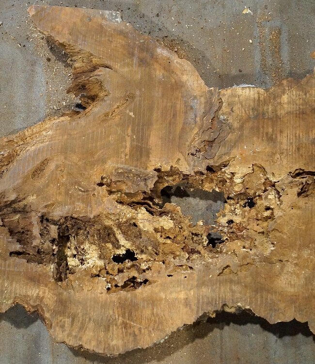Amboina burl, approx. 1600 x 810 x 65-80mm, 35,2kg