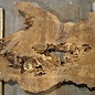 Amboina burl, approx. 1600 x 810 x 65-80mm, 35,2kg