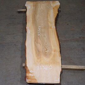 Lebanon Cedar table top, approx. 2300 x 560 x 50 mm, 13320