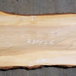 Lebanon Cedar table top, approx. 2300 x 560 x 50 mm, 13320