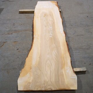 Lebanon Cedar table top, approx. 2300 x 560 x 50 mm, 13320