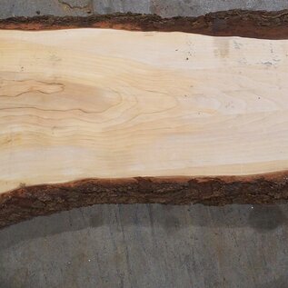 Lebanon Cedar table top, approx. 2300 x 560 x 50 mm, 13320