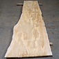 Lebanon Cedar table top, approx. 2600 x 790 x 65 mm, 13315