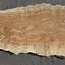 Amboyna burl board, approx. 2800 x 410 x 45 mm, 13314