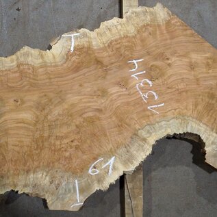 Amboyna burl board, approx. 2800 x 410 x 45 mm, 13314