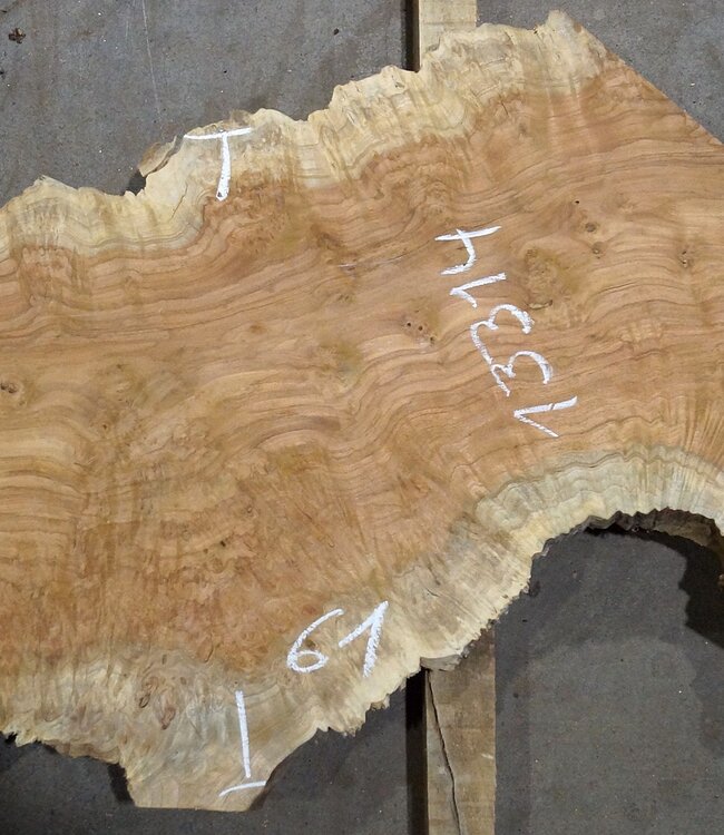 Amboyna burl board, approx. 2800 x 410 x 45 mm, 13314