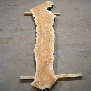 Amboyna burl board, approx. 2800 x 410 x 45 mm, 13314