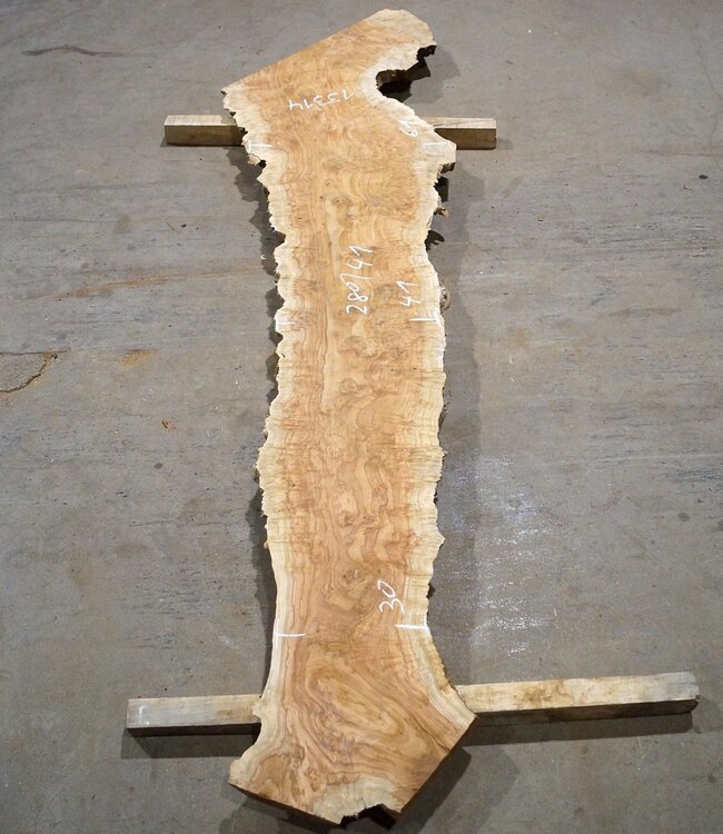 Amboyna burl board, approx. 2800 x 410 x 45 mm, 13314