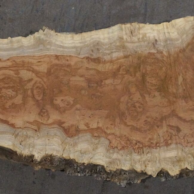 Amboyna burl board, approx. 2800 x 410 x 45 mm, 13314