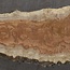 Amboyna burl board, approx. 2800 x 410 x 45 mm, 13314
