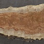 Amboyna burl board, approx. 2800 x 410 x 45 mm, 13314