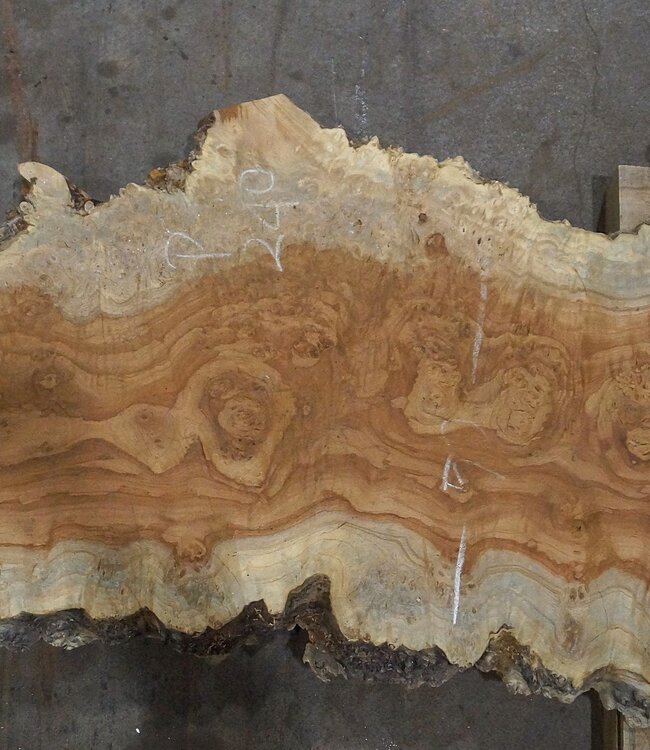 Amboyna burl board, approx. 2800 x 410 x 45 mm, 13314