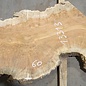 Amboina Maserplatte, ca. 2800 x 400 x 52 mm, 13313