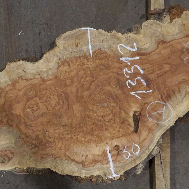 Amboina Maserplatte, ca. 2800 x 370 x 45 mm, 13312