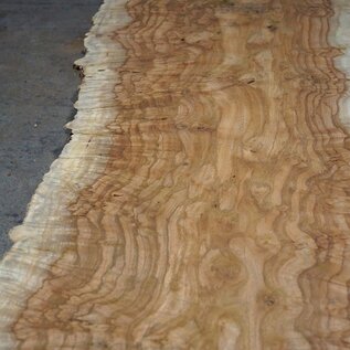 Amboyna burl board, approx. 2800 x 370 x 45 mm, 13312