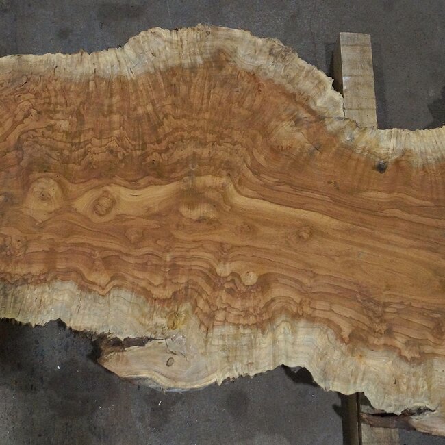 Amboina Maserplatte, ca. 2800 x 370 x 45 mm, 13312