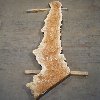 Amboyna burl board, approx. 2800 x 350 x 45 mm, 13311