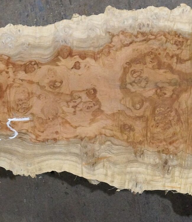 Amboyna burl board, approx. 2800 x 350 x 45 mm, 13311