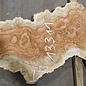Amboina Maserplatte, ca. 2800 x 350 x 45 mm, 13311