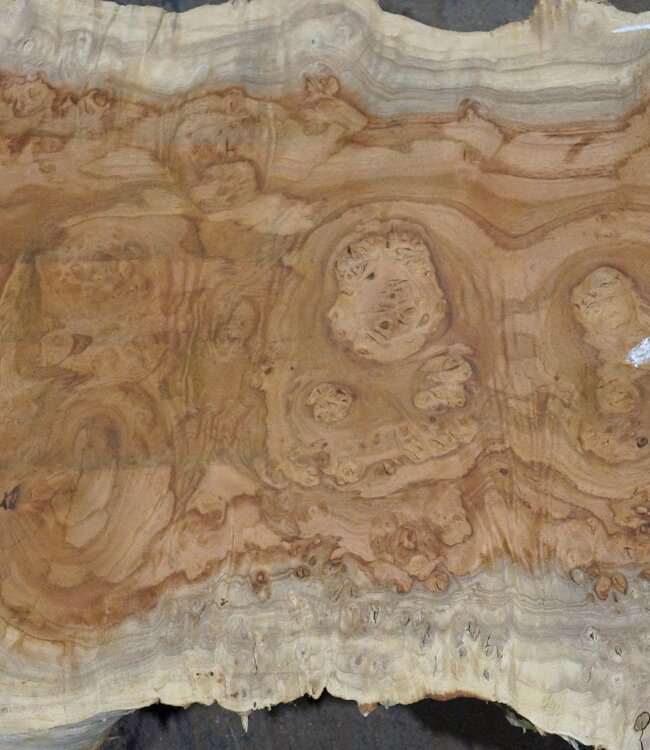 Amboyna burl board, approx. 2800 x 350 x 45 mm, 13311