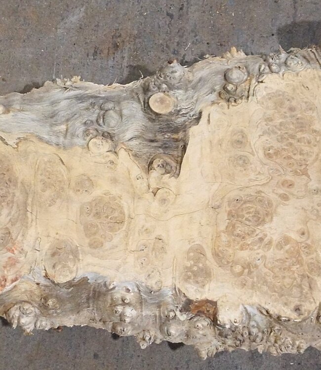 Amboyna burl board, approx. 2800 x 350 x 45 mm, 13311