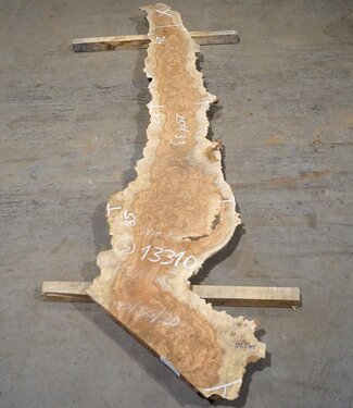 Amboyna burl board, approx. 2500(2800) x 330 x 45 mm, 13310