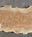 Amboina Maserplatte, ca. 2500(2800) x 330 x 45 mm, 13310