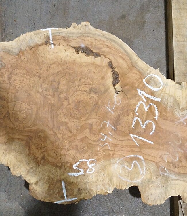 Amboina Maserplatte, ca. 2500(2800) x 330 x 45 mm, 13310