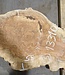 Amboyna burl board, approx. 2500(2800) x 330 x 45 mm, 13310