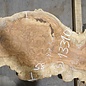 Amboyna burl board, approx. 2500(2800) x 330 x 45 mm, 13310