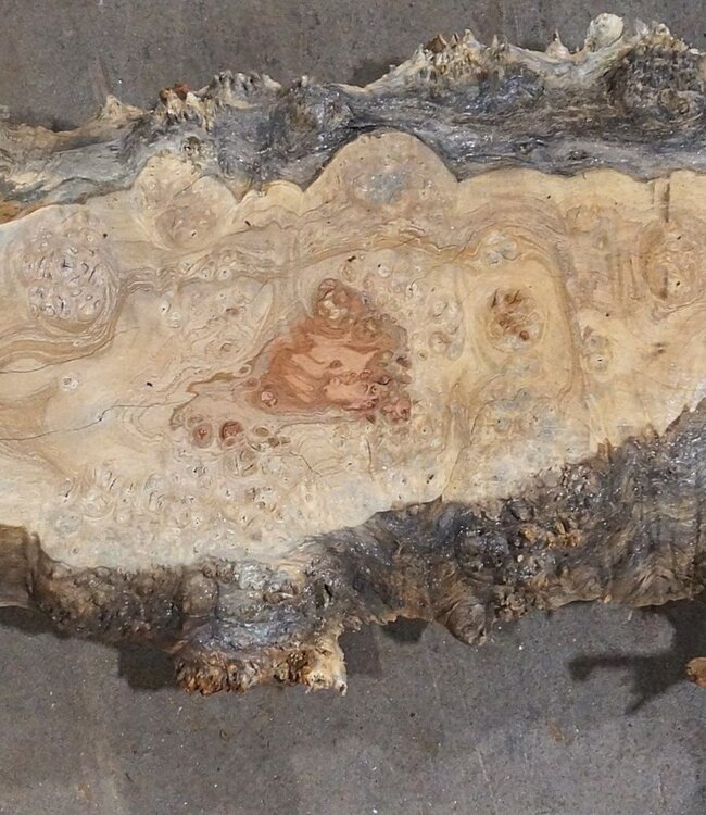 Amboyna burl board, approx. 2500(2800) x 330 x 45 mm, 13310