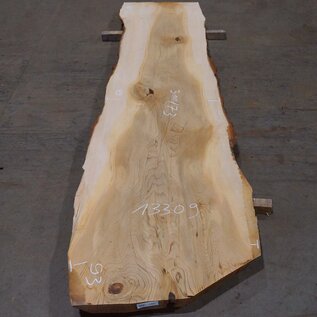 Lebanon Cedar table top, approx. 3100 x 730 x 75 mm, 13309