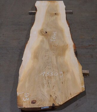 Lebanon Cedar table top, approx. 3100 x 730 x 75 mm, 13309