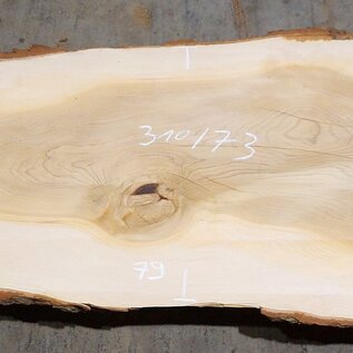 Lebanon Cedar table top, approx. 3100 x 730 x 75 mm, 13309