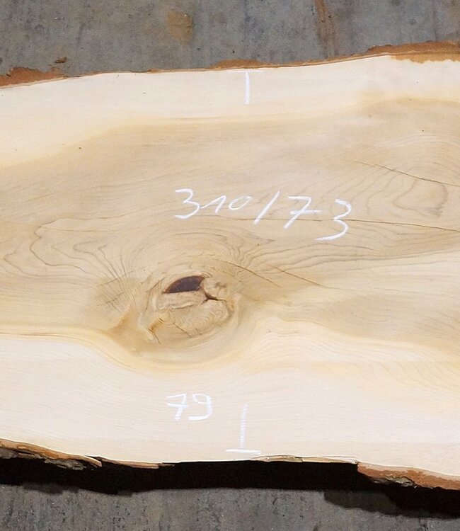 Lebanon Cedar table top, approx. 3100 x 730 x 75 mm, 13309