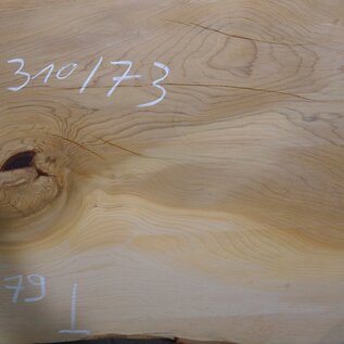 Lebanon Cedar table top, approx. 3100 x 730 x 75 mm, 13309